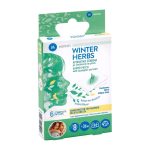 Medisei Winter Herbs Αρωματικά Επιθέματα με Ευκάλυπτο, 6τεμ